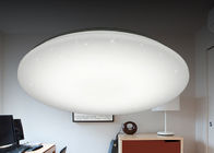 Luminance Adjustable LED Ceiling Lamp , Wall Switch Control 24 Watt Bright Ceiling Lamp