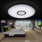 Smart Stylish Remote Control Ceiling Light , Wireless Light Fixtures For Ceilings
