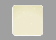 Square Warm White Ceiling Lamp Safe No Radiation Dimmable By Remote / WiFi Control